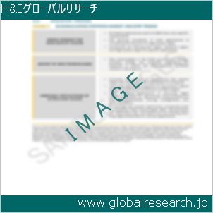グローバルリサーチ調査レポートのイメージ